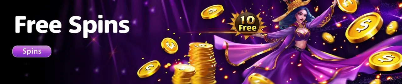zc111 Terms and Conditions That Govern Your zc111 Account